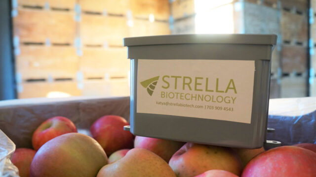 Strella Biotechnology 